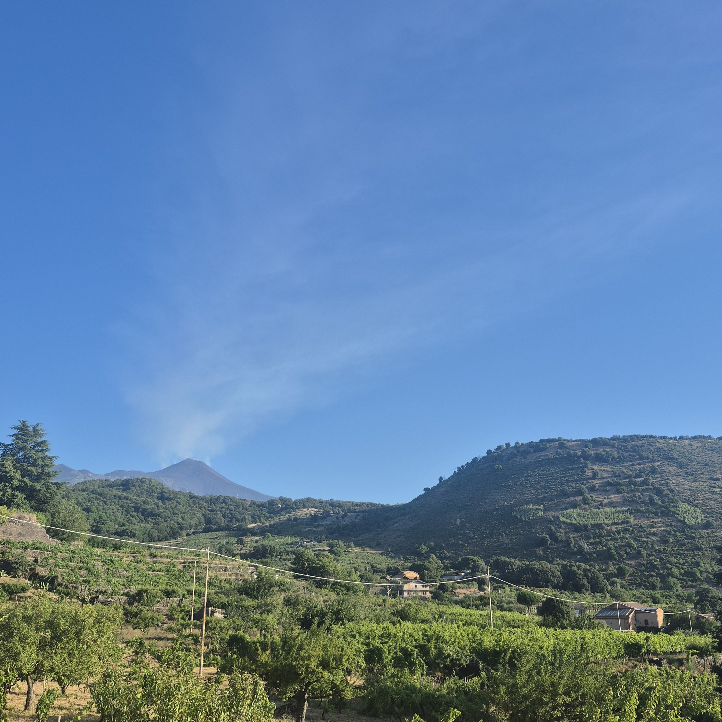 View across the vineyards towards Mount Etna